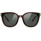 Helen Keller 輪廓感波士頓框太陽眼鏡 焦糖棕