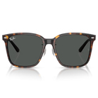 Ray Ban l 拓野者方框太陽眼鏡 | 玳瑁咖