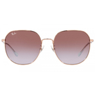 Ray Ban l 探險者多邊框太陽眼鏡 | 玫瑰粉