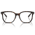 Ray Ban | 潮流書閣大方框眼鏡 | 玳瑁深棕