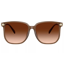 COACH | 暮色之境大方框太陽眼鏡 | 絕美棕