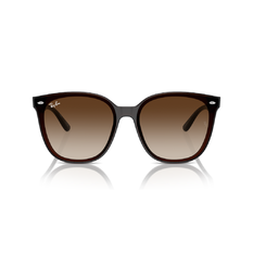 Ray Ban l  現代大方框太陽眼鏡 | 冰拿鐵
