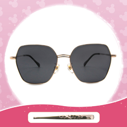 Disney 小熊維尼│雪梨海港大橋 多邊框太陽...