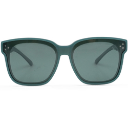 SUPER IDOL套鏡 l 綠野漫步威靈頓框太陽眼...