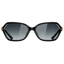 Helen Keller 稜線多邊框太陽眼鏡 零點黑