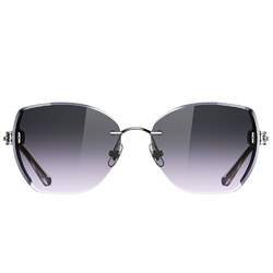 Helen Keller 琢光多邊框太陽眼鏡 流銀