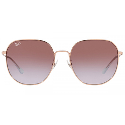 Ray Ban l 探險者多邊框太陽眼鏡 | 玫瑰粉