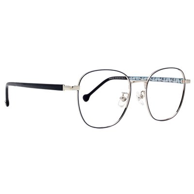 SOU・SOU l 滿天鳶鳥 大方框眼鏡✿紳士藍