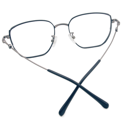 哈利波特 | 雷文克勞造型大方框眼鏡 銀霧藍