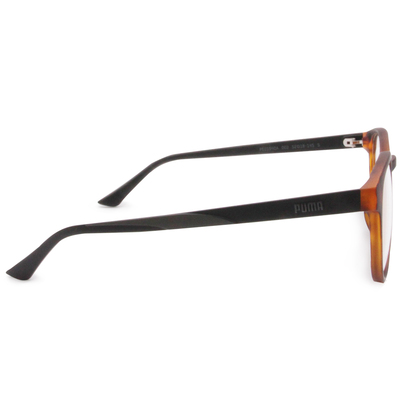 PUMA l 耀動感圓框眼鏡 玳瑁棕