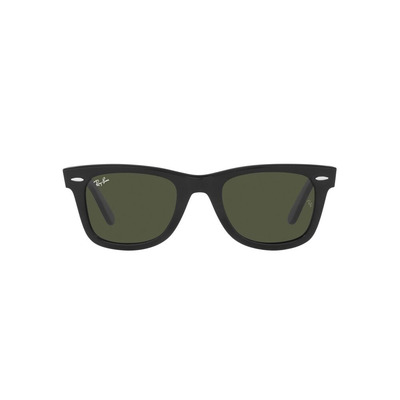 Ray Ban l 徒步旅行者威靈頓框太陽眼鏡 墨綠/黑