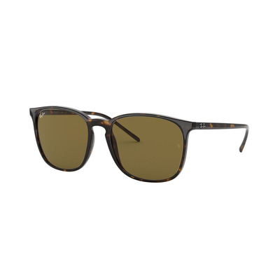 Ray Ban l 潮酷細緻方框太陽眼鏡| 玳瑁琥珀