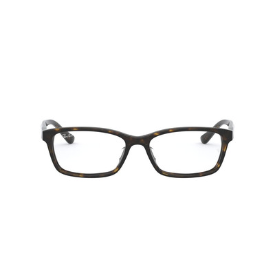 Ray Ban |瑁彩奇緣方框眼鏡 |古典玳瑁