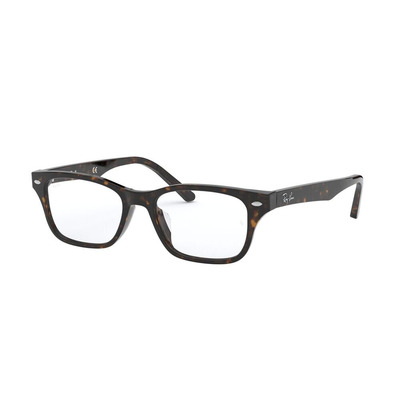 Ray Ban |瑰麗斑點方框眼鏡 |斑點瑁色
