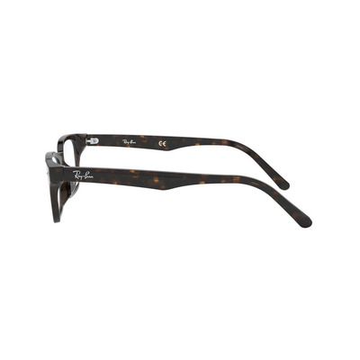 Ray Ban |瑰麗斑點方框眼鏡 |斑點瑁色