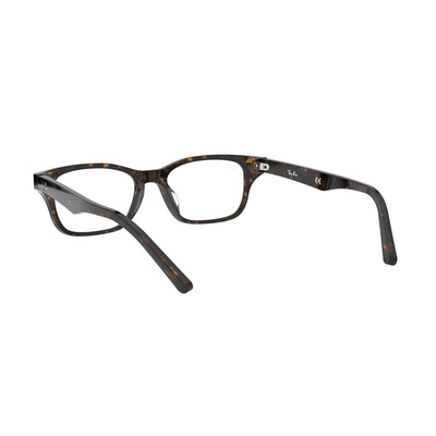 Ray Ban |瑰麗斑點方框眼鏡 |斑點瑁色