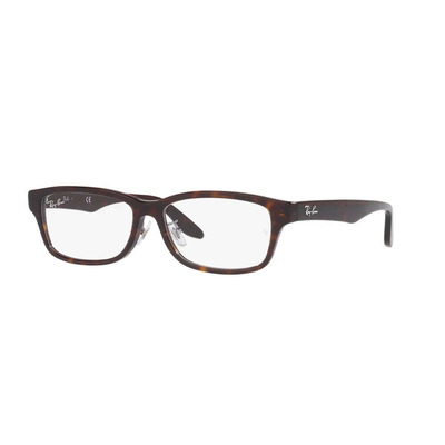 Ray Ban |現代古韻方框眼鏡 |虎色斑