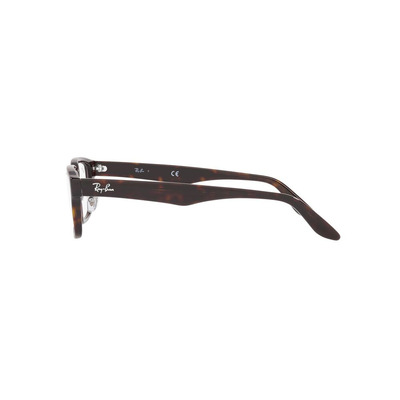 Ray Ban |現代古韻方框眼鏡 |虎色斑