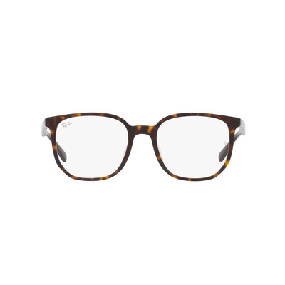 Ray Ban |晶透之星多邊框眼鏡 |強勢琥珀