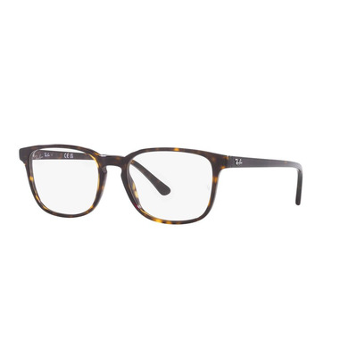 Ray Ban |機智聰慧方框眼鏡 |金黑虎斑