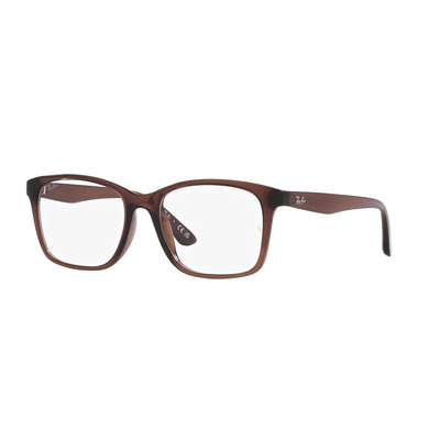 Ray Ban |樹間回憶長方框眼鏡 |大地棕