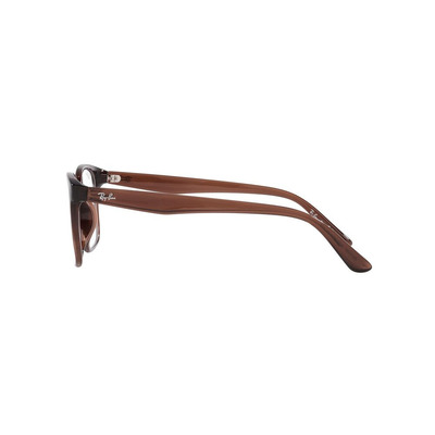 Ray Ban |樹間回憶長方框眼鏡 |大地棕