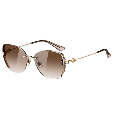 Helen Keller 琢光多邊框太陽眼鏡 幻棕