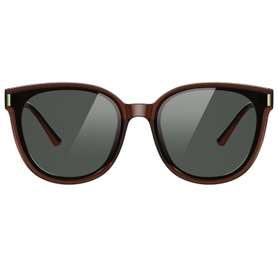 Helen Keller 輪廓感波士頓框太陽眼鏡 焦糖棕