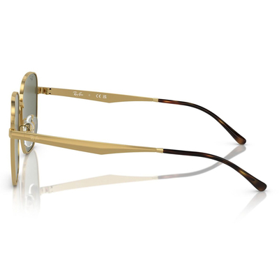 Ray Ban l 冷峻大方框太陽眼鏡 | 綠搭金