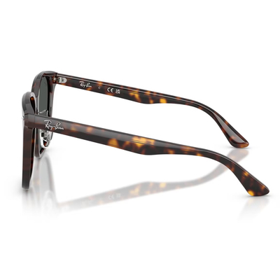 Ray Ban l 拓野者方框太陽眼鏡 | 玳瑁咖