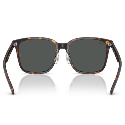 Ray Ban l 拓野者方框太陽眼鏡 | 玳瑁咖