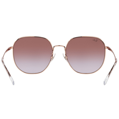 Ray Ban l 探險者多邊框太陽眼鏡 | 玫瑰粉