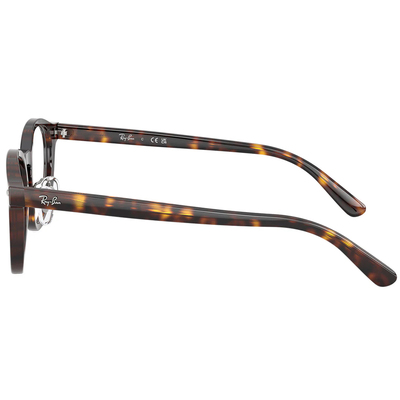 Ray Ban | 學者風範圓框眼鏡 | 玳瑁咖