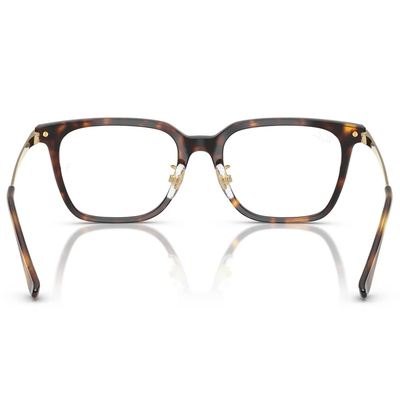 Ray Ban | 自由典章大方框眼鏡 | 玳瑁X金