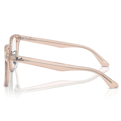 Ray Ban | 潮流書閣大方框眼鏡 | 清透粉