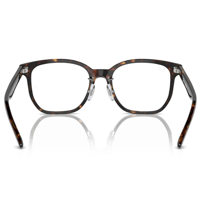 Ray Ban | 潮流書閣大方框眼鏡 | 玳瑁深棕