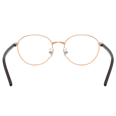 Ray Ban | 知識之環圓框眼鏡 | 曼妙金