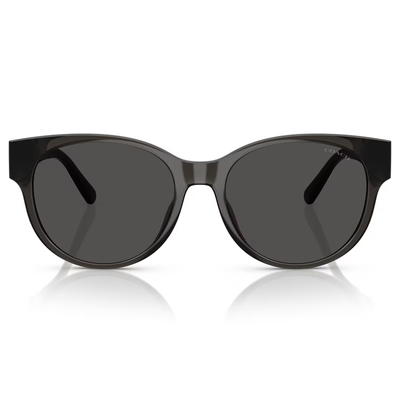 COACH | 雅致態度圓框太陽眼鏡 | 微透灰