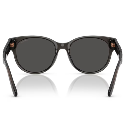 COACH | 雅致態度圓框太陽眼鏡 | 微透灰