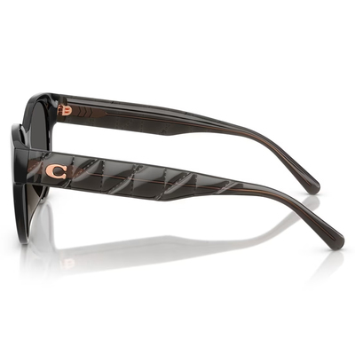 COACH | 雅致態度圓框太陽眼鏡 | 微透灰