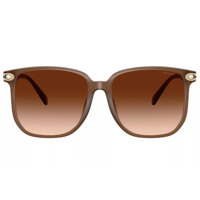 COACH | 暮色之境大方框太陽眼鏡 | 絕美棕