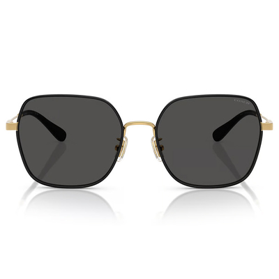 COACH | 光韻年華多邊框太陽眼鏡 | 黑X金