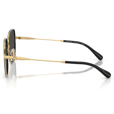 COACH | 光韻年華多邊框太陽眼鏡 | 黑X金