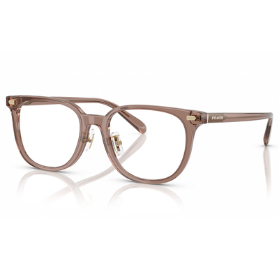 COACH | 極簡輪廓方框眼鏡 | 琉璃棕