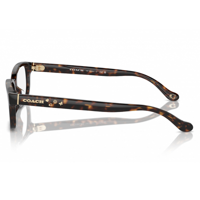 COACH | 玩味焦點長方框眼鏡 | 玩味琥珀