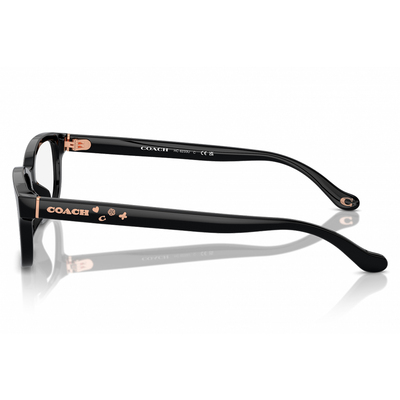 COACH | 玩味焦點長方框眼鏡 | 玩味黑