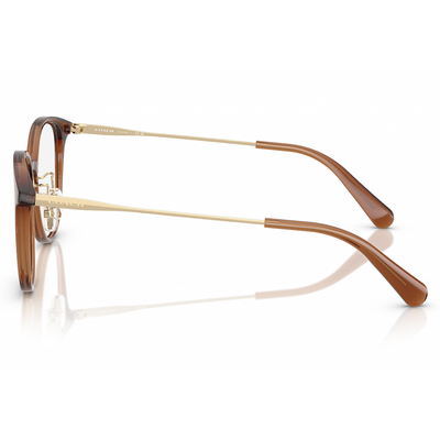 COACH | 隨行焦點波士頓框眼鏡 | 焦糖棕