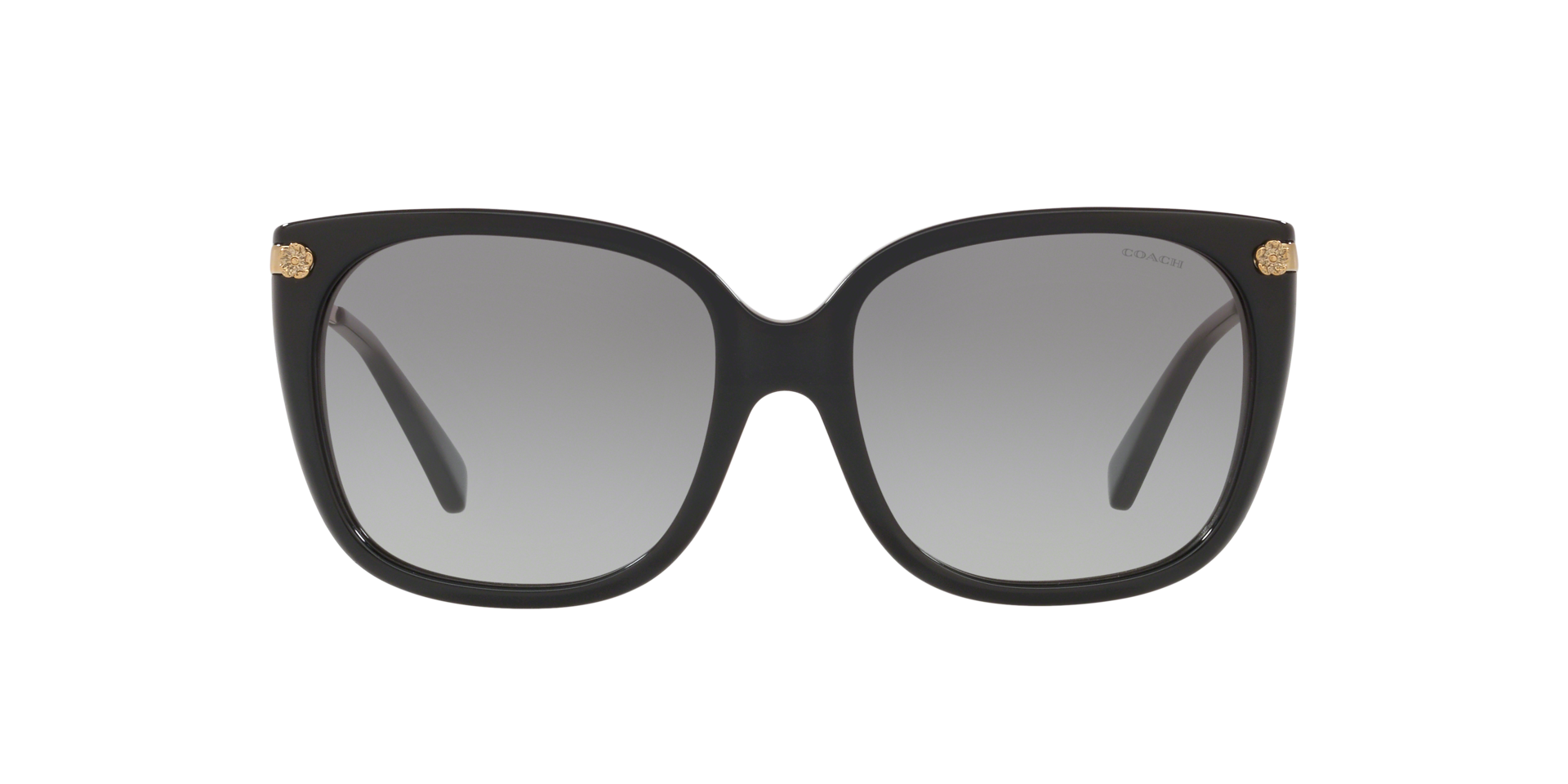COACH l 摩登造型方框太陽眼鏡 透黑色