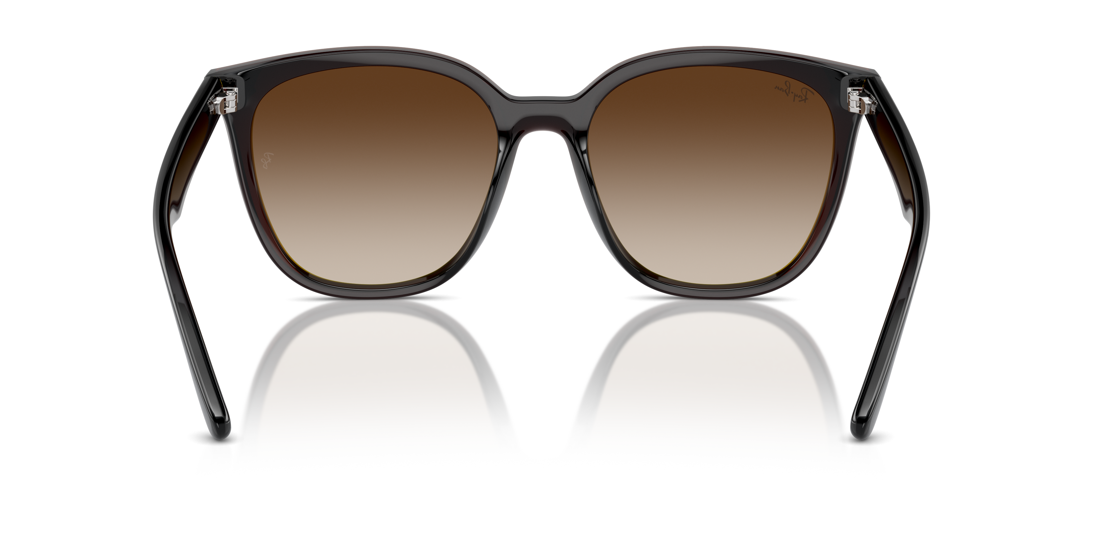 Ray Ban l  現代大方框太陽眼鏡 | 冰拿鐵