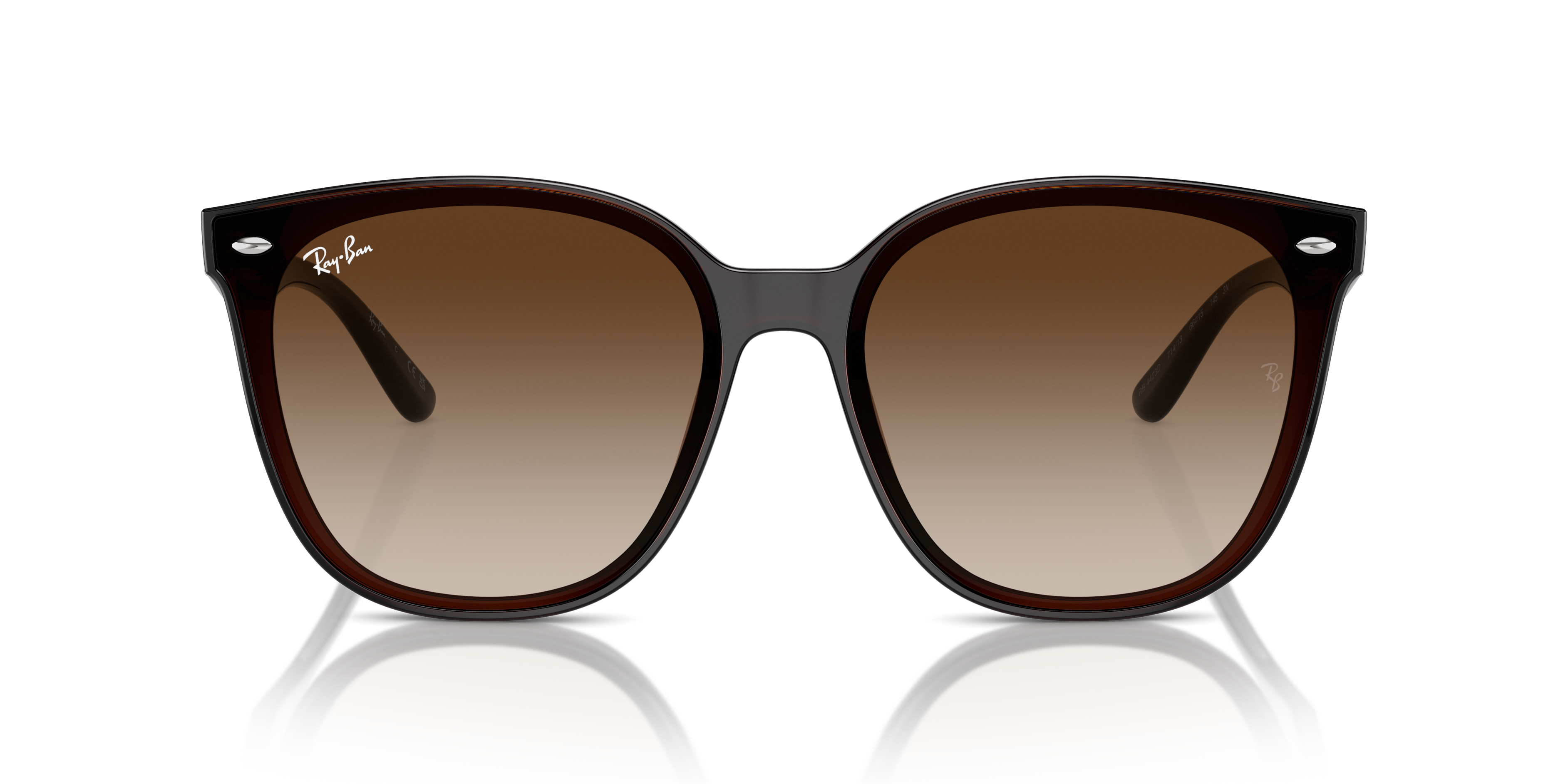 Ray Ban l  現代大方框太陽眼鏡 | 冰拿鐵